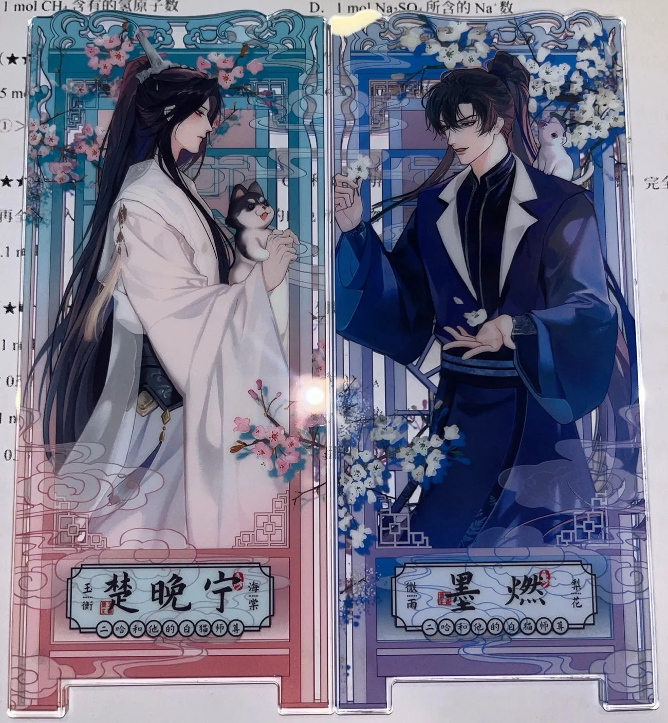 The Husky and His White Cat Sh - Anime Cosplay Cat recensione e prezzo